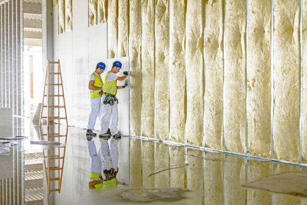 Best Residential Insulation in Cedar Grove, FL